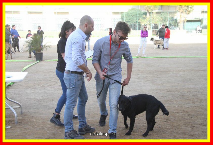 180311 mostra_canina 185.jpg